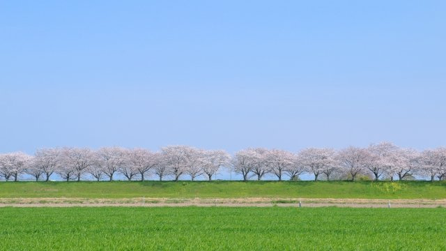 2026/4/13　T・F　様の画像