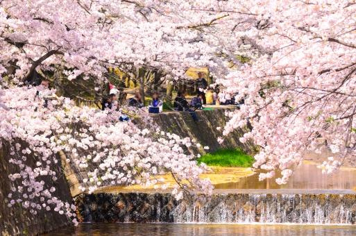 【ジオ夙川公園｜40代｜転勤によるマンション売却｜KC様の画像
