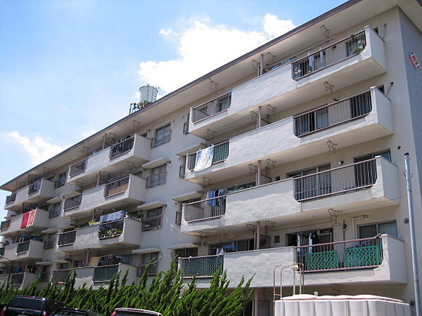  XIN TONG様の画像