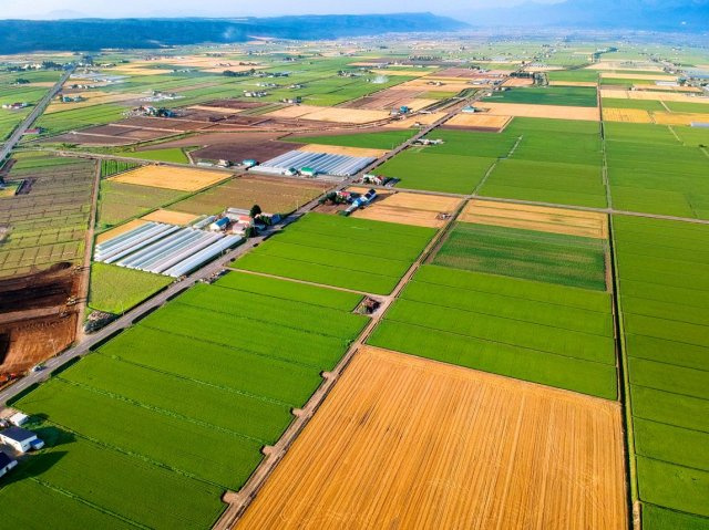 【西宮市広田町｜70代｜息子が継がない農地を整理した資産整理事例｜TS様】の画像