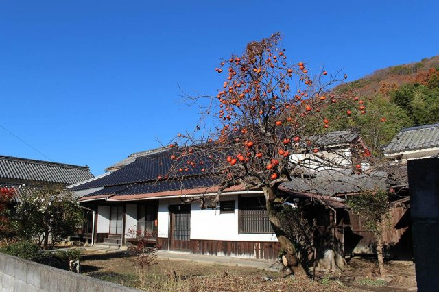 【西宮市甑岩町｜60代｜「父の植えた柿の木をどうする？」家族会議から始まった相続売却事例｜UV様】の画像