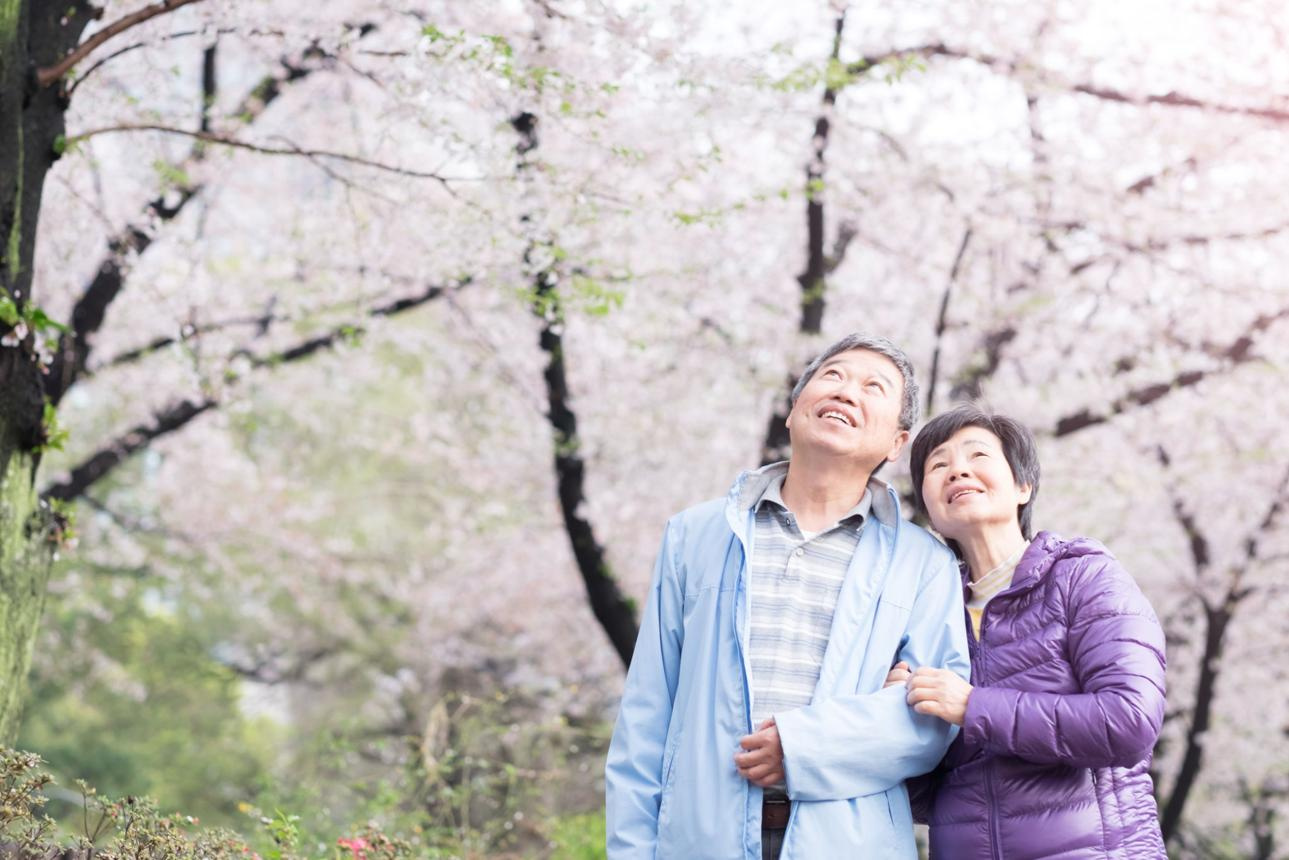 【西宮市羽衣町｜夙川グリーンタウン｜60代｜毎日眺めていた夙川の桜を、新しい暮らしでも楽しめた住み替え事例｜VN様】の画像