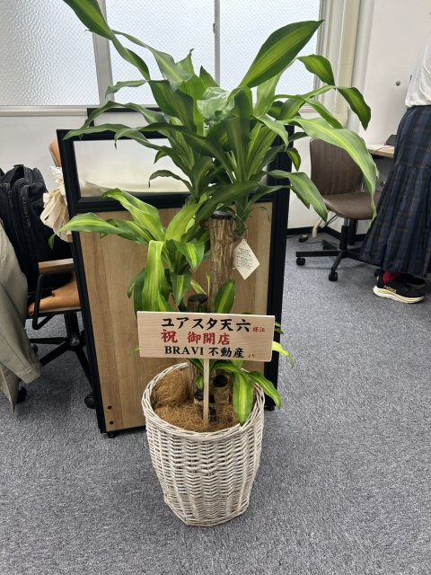 ユアスタ天六様の画像