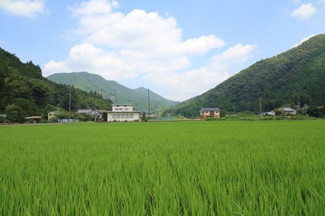 【西宮市山口町下山口｜70代｜「農地は売れない」と思い込んでいた生産緑地の売却相談事例｜YH様】の画像