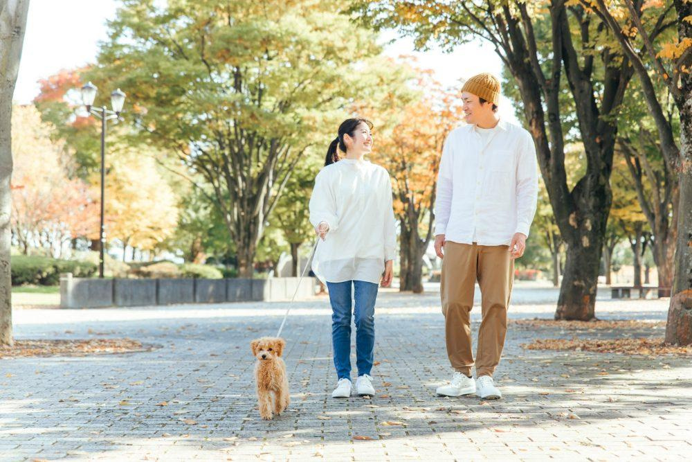 【西宮市高松町｜パークホームズ西宮北口｜40代｜「愛犬との暮らしを大切にした住み替え」マンション売却事例｜AAS様】の画像