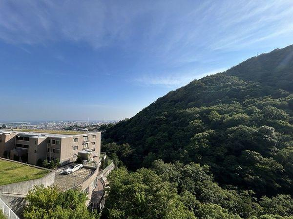 【芦屋市山芦屋町｜芦屋山手町ハウス｜60代｜「査定では築年数の話ばかり。でも私たちが好きだったのは、この窓から見える景色でした」マンション売却事例｜AFI様】の画像