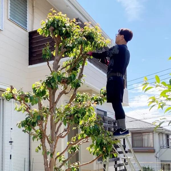 【西宮市雲井町｜60代｜「父が大切にしていた庭木。枝が隣の敷地まで伸びているとは気付きませんでした」相続戸建売却事例｜AIR様】の画像