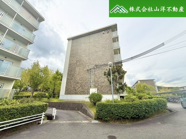 T.Mの画像