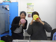 2016年01月22日の画像