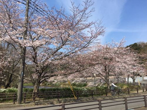 花見川区の分譲マンションをご購入されましたＹ様の画像