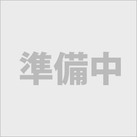 現在準備中の画像