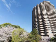 東京都品川区北品川近辺の画像