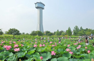 埼玉県行田市近辺の画像