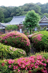 和歌山県西牟婁郡上富田町生馬近辺の画像