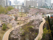 東京都品川区東品川近辺の画像