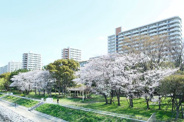 東京都品川区八潮近辺の画像