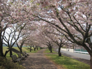 栃木県小山市近辺の画像