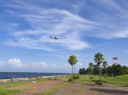 東京都大田区近辺の画像