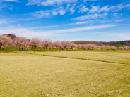 埼玉県坂戸市近辺の画像