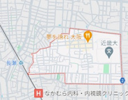 大阪府東大阪市小若江近辺の画像