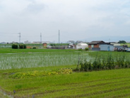 大阪府松原市近辺の画像