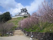 静岡県掛川市近辺の画像