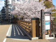 東京都板橋区板橋近辺の画像