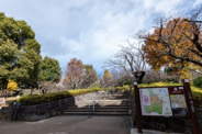 東京都世田谷区赤堤近辺の画像