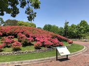 大阪府堺市堺区旭ヶ丘北町近辺の画像