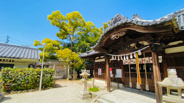 大阪府堺市西区草部近辺の画像