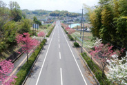 奈良県北葛城郡上牧町近辺の画像
