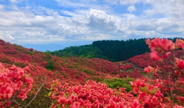 奈良県葛城市近辺の画像
