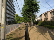 埼玉県新座市新堀近辺の画像