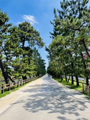 埼玉県草加市近辺の画像