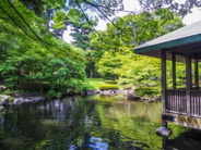 東京都杉並区近辺の画像