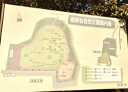 埼玉県朝霞市根岸台近辺の画像