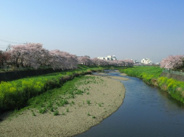 埼玉県志木市柏町近辺の画像