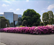 埼玉県富士見市針ケ谷近辺の画像