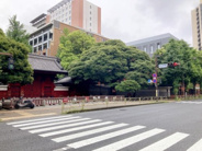 東京都文京区本郷近辺の画像