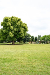 東京都狛江市近辺の画像