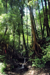 神奈川県横浜市保土ケ谷区川島町近辺の画像