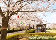 茨城県つくばみらい市近辺の画像