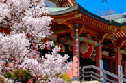 東京都目黒区近辺の画像