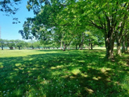 埼玉県越谷市弥栄町近辺の画像