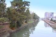 埼玉県草加市金明町近辺の画像