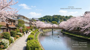 東京都板橋区近辺の画像