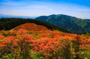 奈良県御所市近辺の画像