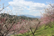 奈良県吉野郡下市町近辺の画像