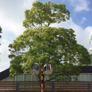 東京都大田区新蒲田近辺の画像