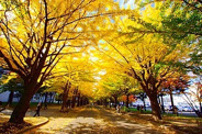 北海道札幌市北区近辺の画像